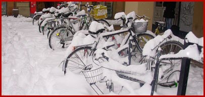 neve dicembre 2009