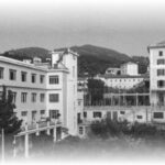collegio e noviziato